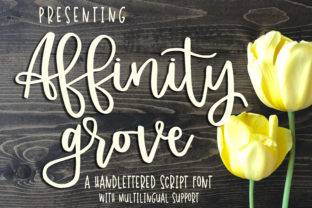Affinity Grove: A Thoughtful Script Font