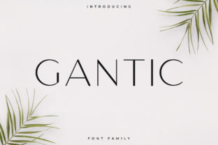 Gantic: The Editorial Sans Serif That Elevates Design Integrity