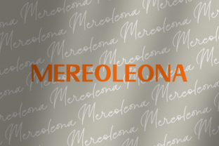 Mereoleona Duo: A Bold & Elegant Font Pair