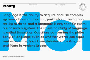 Monty: A Bold, Modern Sans Serif That Works Where Others Struggle