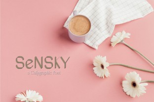 Sensky: A Modern Sans Serif with Quiet Confidence