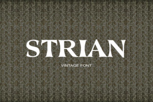 Strian: A Chunky Vintage Serif That Commands Attention