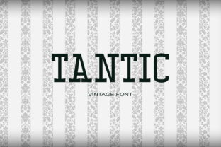 Tantic: Timeless Typography for Meaningful Design